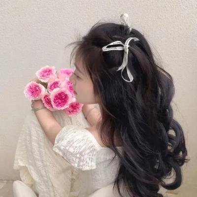 凤仙花 海报