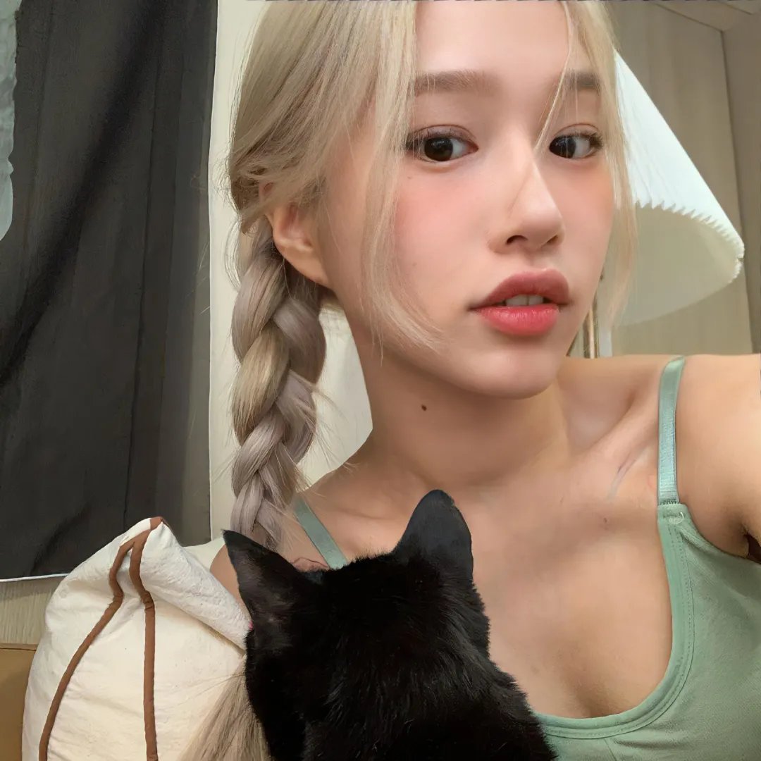 太极熊猫 海报